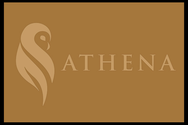 LIGNE DE COMMUNICATION, STRATEGIE, SITE INTERNET, ANNONCES